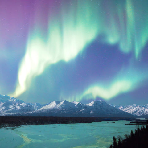 Aurora’s Passage<br>by Shane Lamb