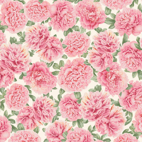 Peony Hill<br>by Tina Higgins