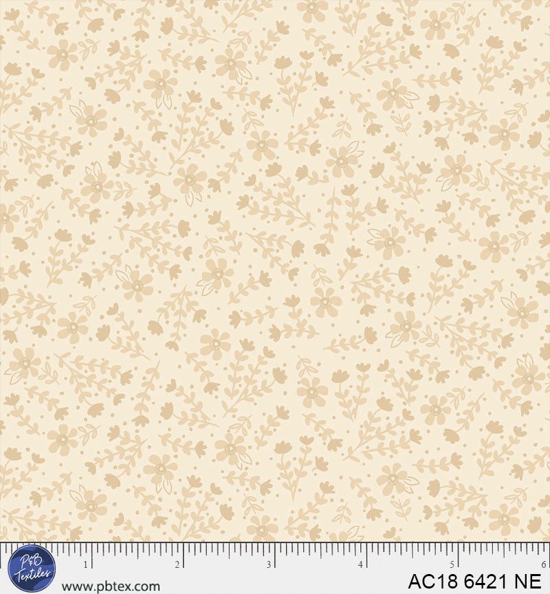 AC18 6421 NE