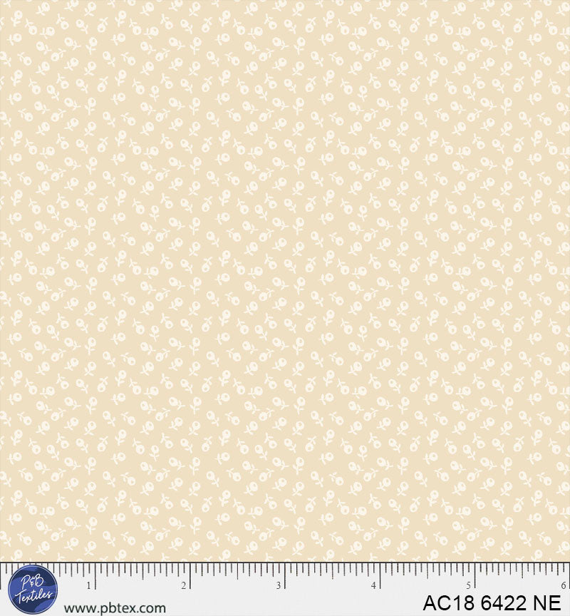 AC18 6422 NE