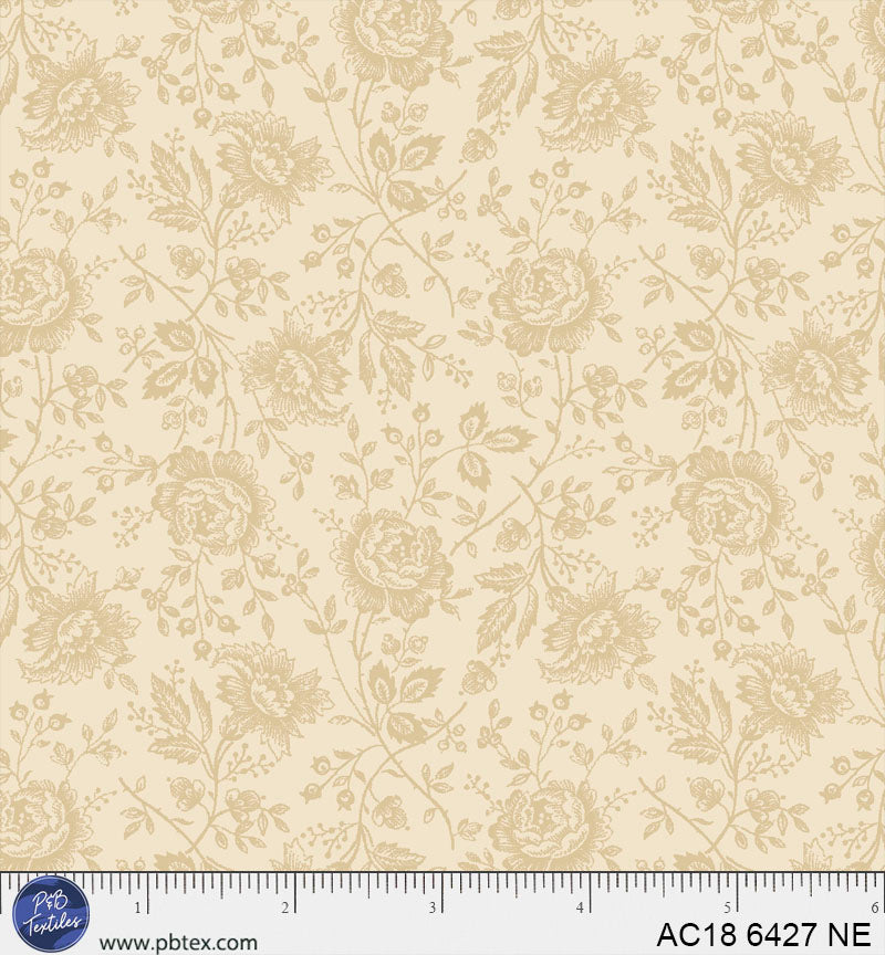 AC18 6427 NE