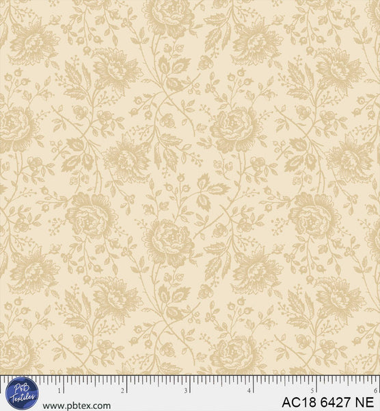AC18 6427 NE