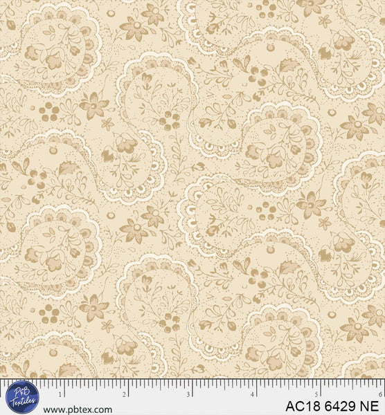 AC18 6429 NE