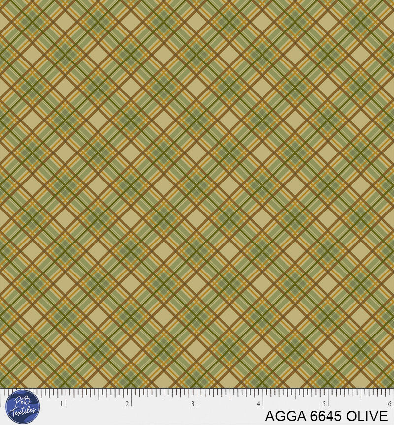 AGGA 6645 OLIVE