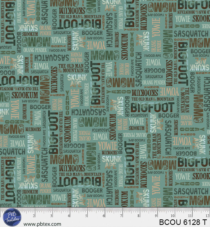 BCOU 6128 T