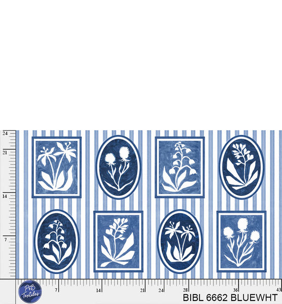 BIBL 6662 BLUEWHT