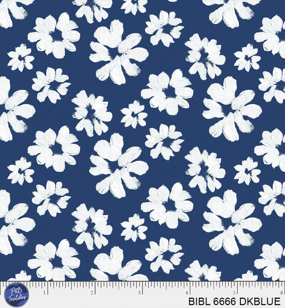 BIBL 6666 DKBLUE