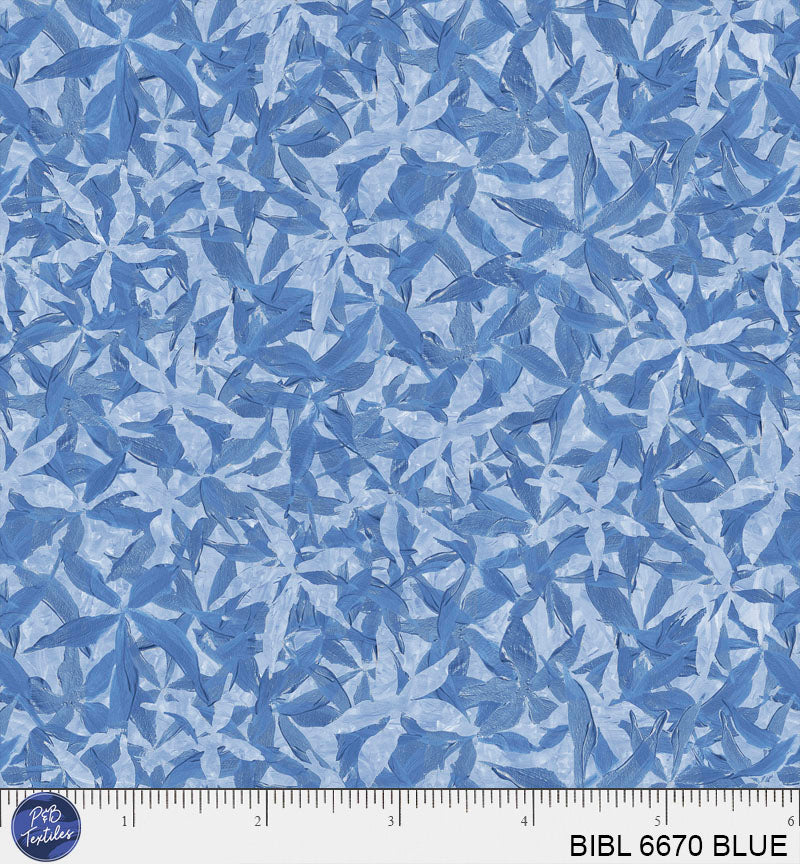 BIBL 6670 BLUE