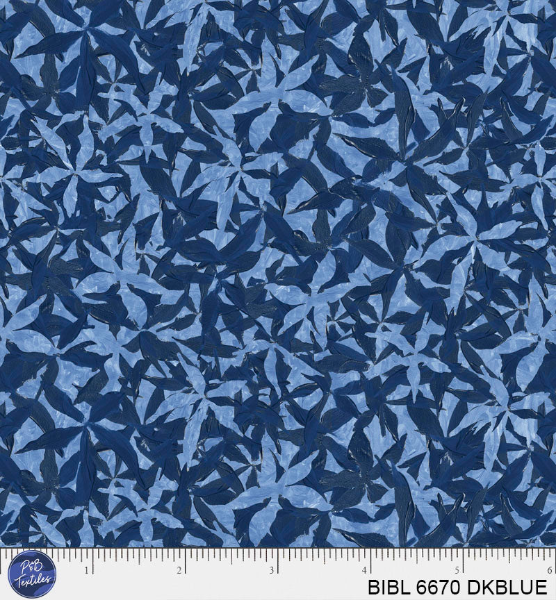 BIBL 6670 DKBLUE