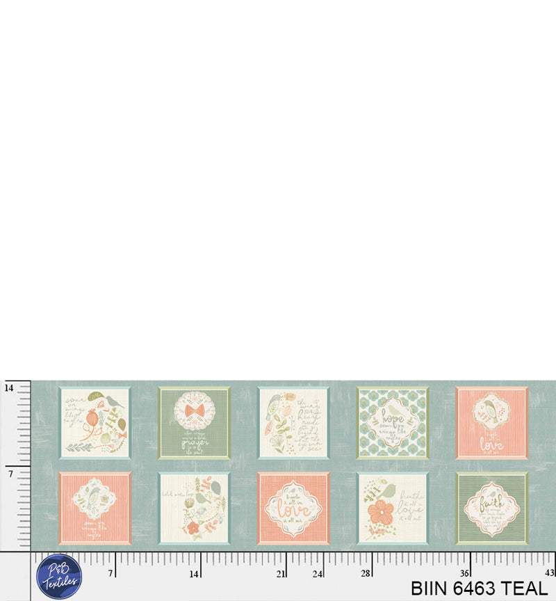 BIIN 6463 TEAL