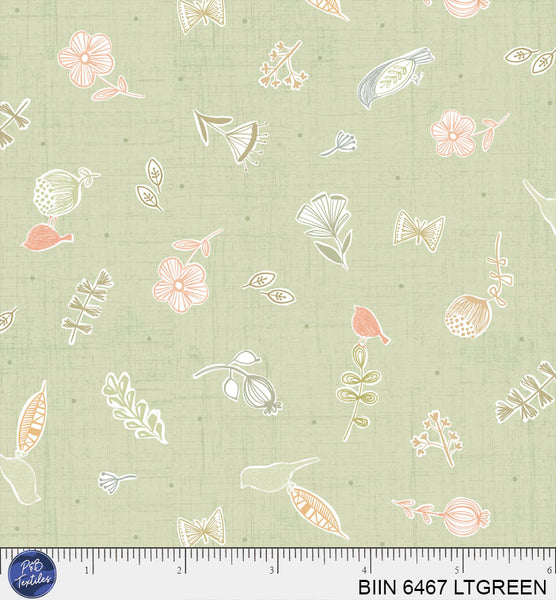 BIIN 6467 LTGREEN