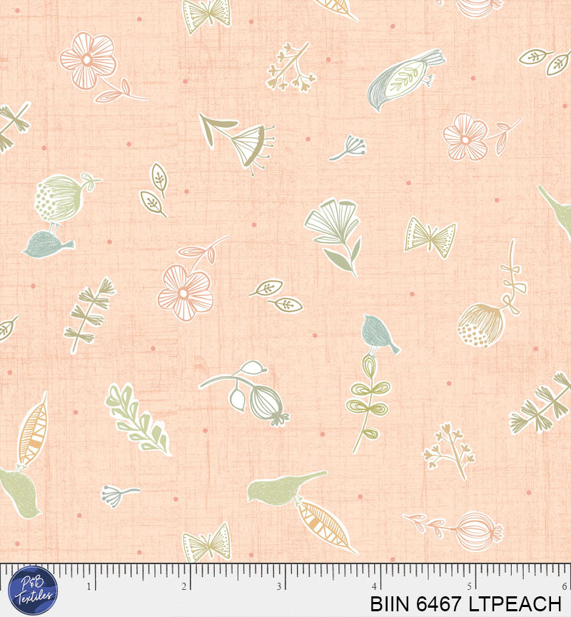 BIIN 6467 LTPEACH