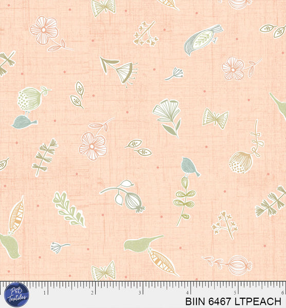 BIIN 6467 LTPEACH