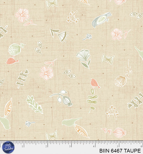 BIIN 6467 TAUPE