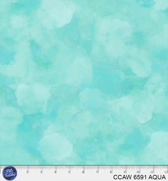 CCAW 6591 AQUA