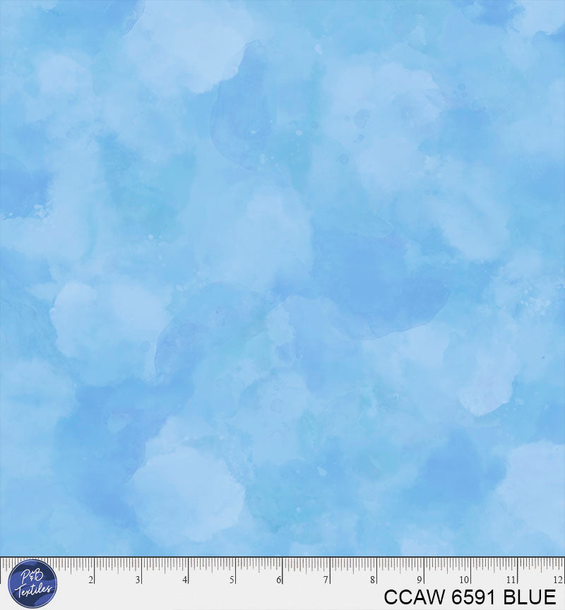 CCAW 6591 BLUE
