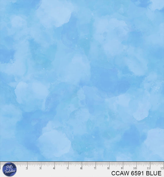CCAW 6591 BLUE