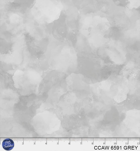 CCAW 6591 GREY