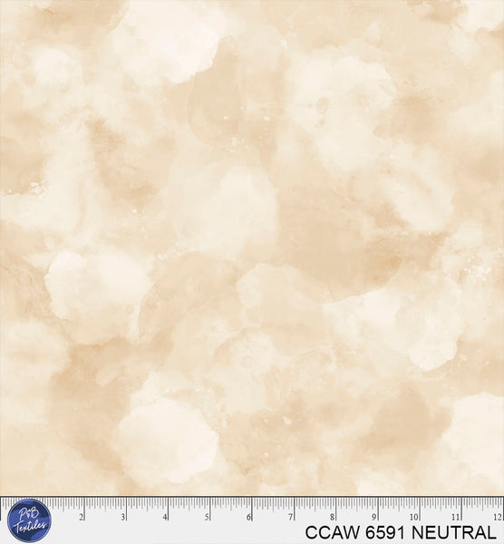 CCAW 6591 NEUTRAL