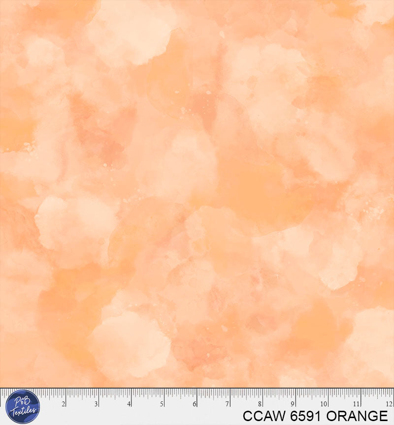CCAW 6591 ORANGE