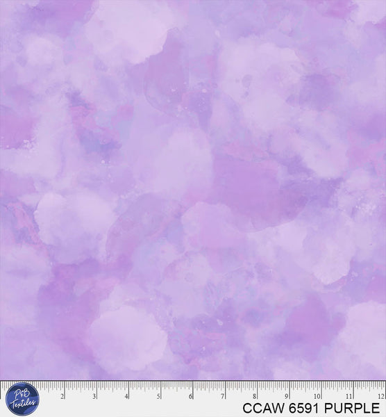 CCAW 6591 PURPLE