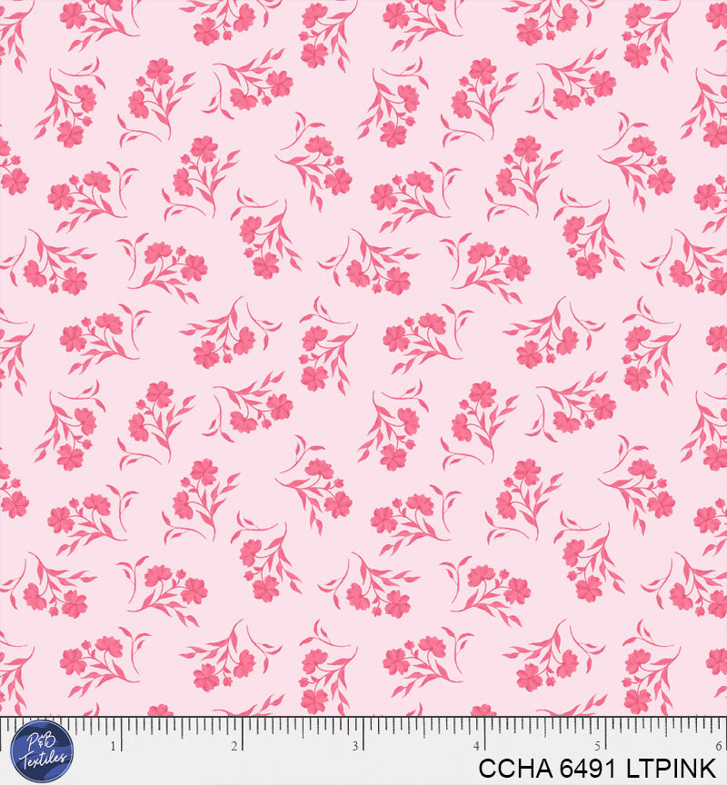 CCHA 6491 LTPINK