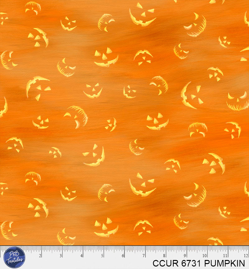 CCUR 6731 PUMPKIN