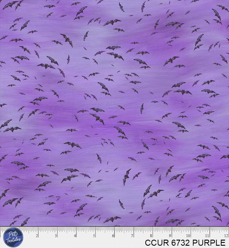 CCUR 6732 PURPLE