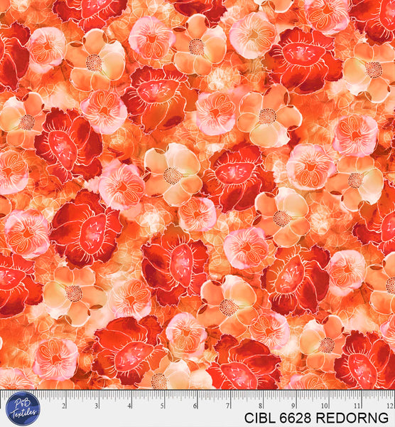 CIBL 6628 REDORNG