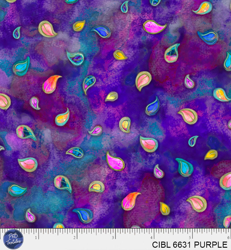 CIBL 6631 PURPLE