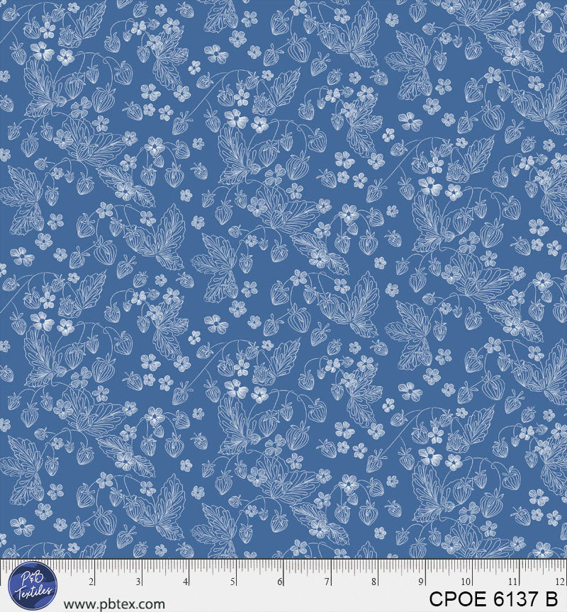 CPOE 6137 B