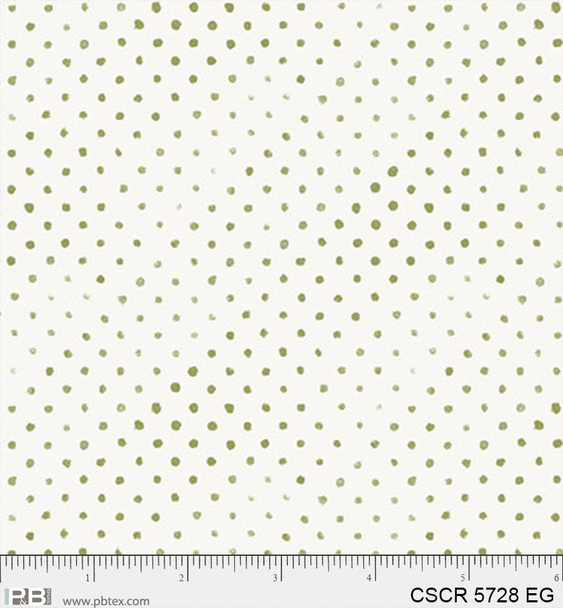 CSCR 5728 EG