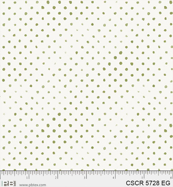 CSCR 5728 EG