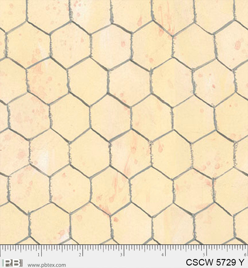 CSCW 5729 Y