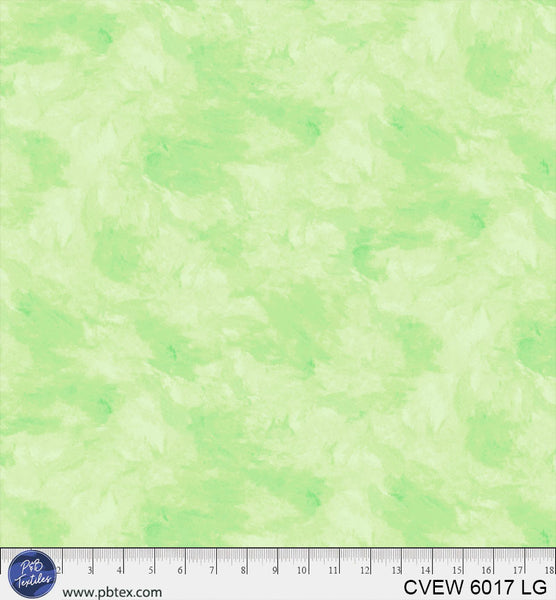 CVEW 6017 LG