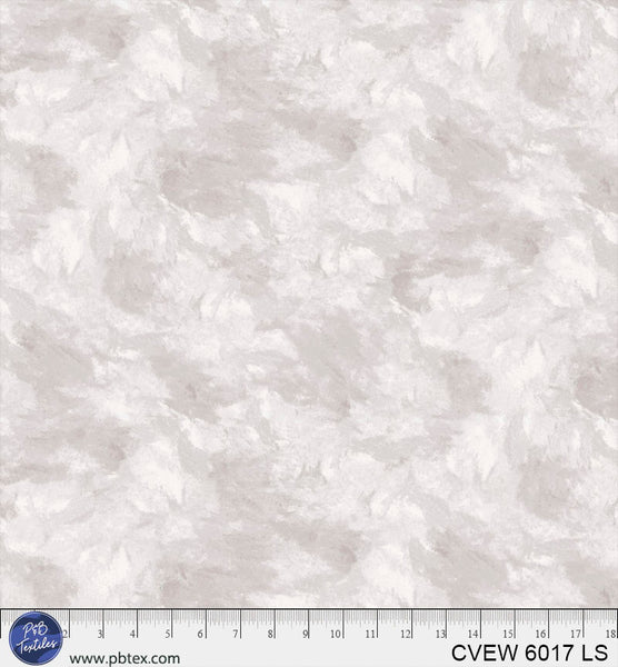 CVEW 6017 LS