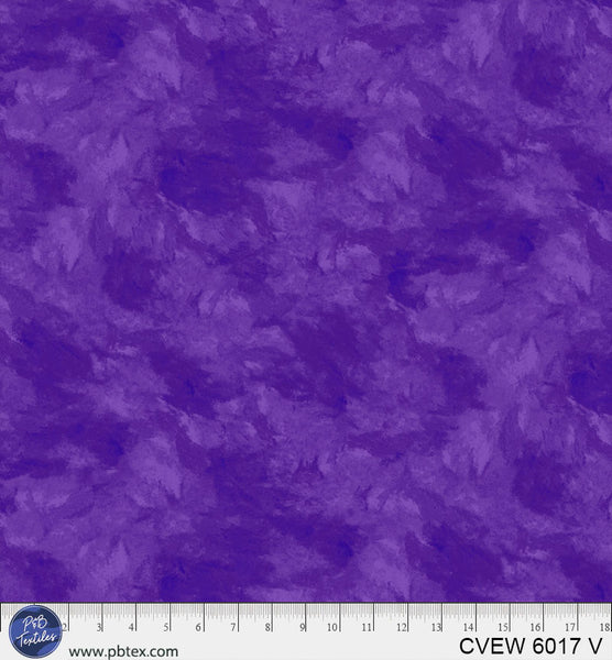 CVEW 6017 V