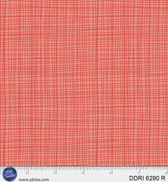 DDRI 6290 R