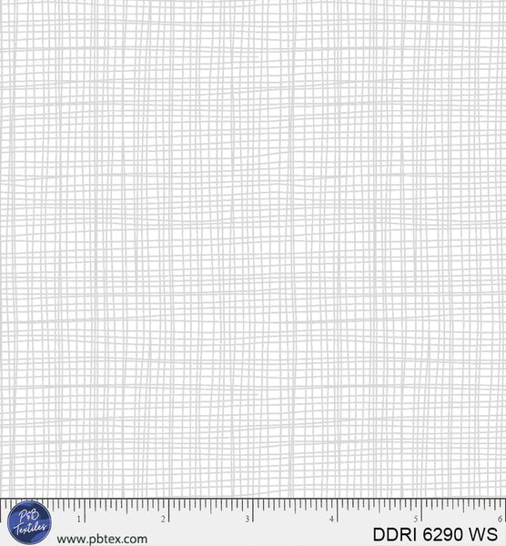 DDRI 6290 WS