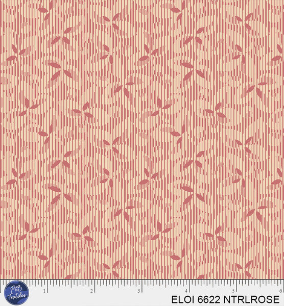 ELOI 6622 NTRLROSE