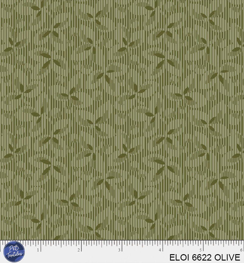 ELOI 6622 OLIVE