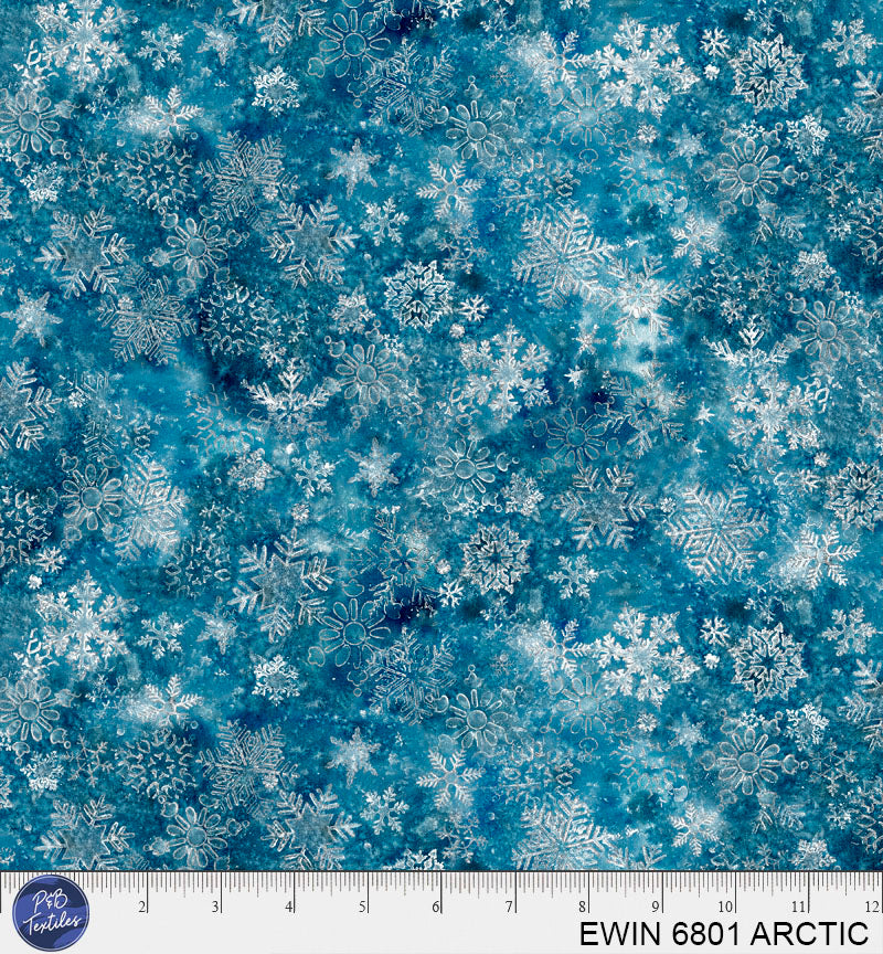 EWIN 6801 ARCTIC