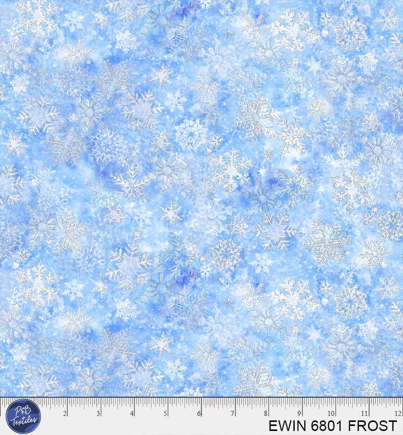 EWIN 6801 FROST