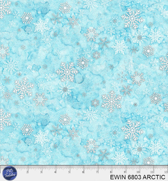 EWIN 6803 ARCTIC
