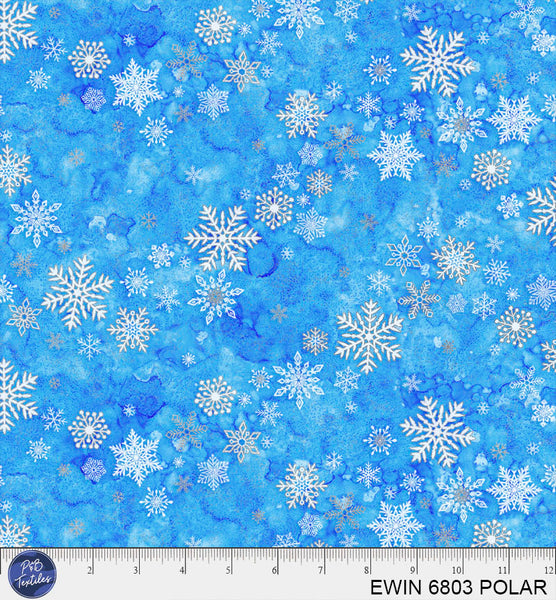 EWIN 6803 POLAR