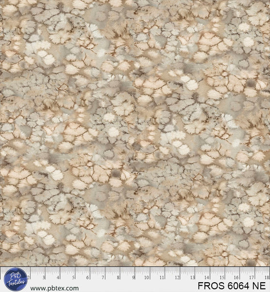 FROS 6064 NE