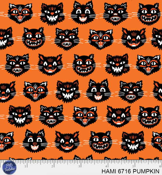 HAMI 6716 PUMPKIN