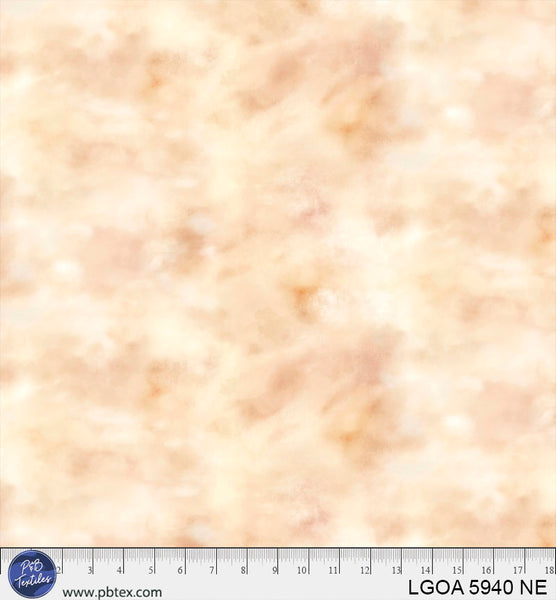 LGOA 5940 NE
