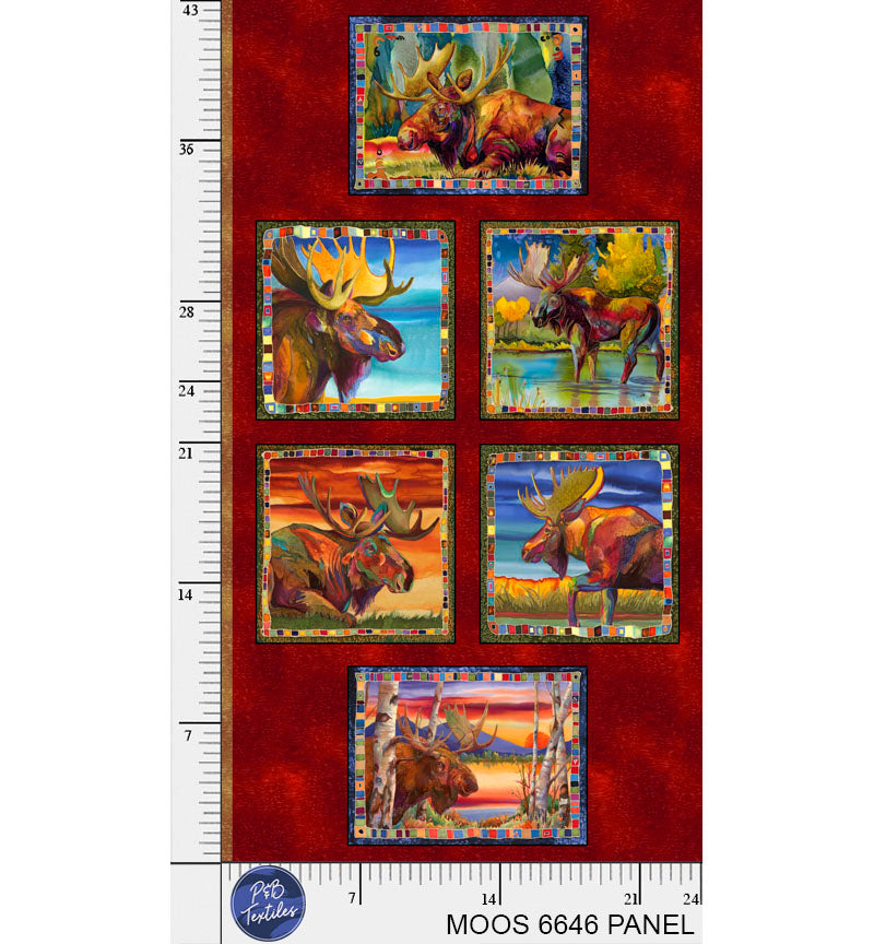 MOOS 6646 PANEL