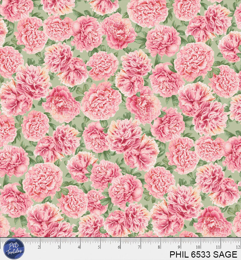 PHIL 6533 SAGE